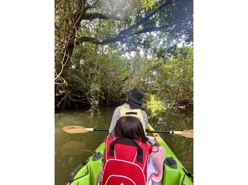 【沖縄・石垣島】 カヤックとトレッキングでゆく熱帯ジャングル大冒険の紹介画像