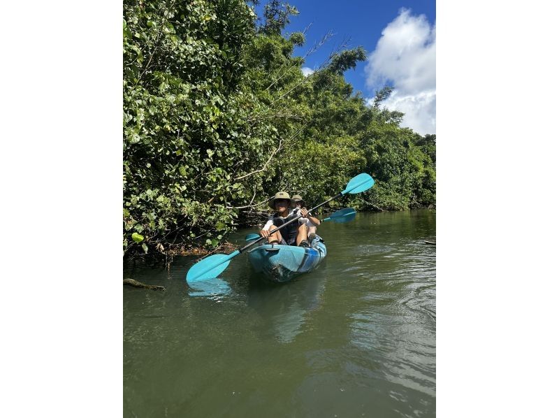 【沖縄・石垣島】 カヤックとトレッキングでゆく熱帯ジャングル大冒険の紹介画像