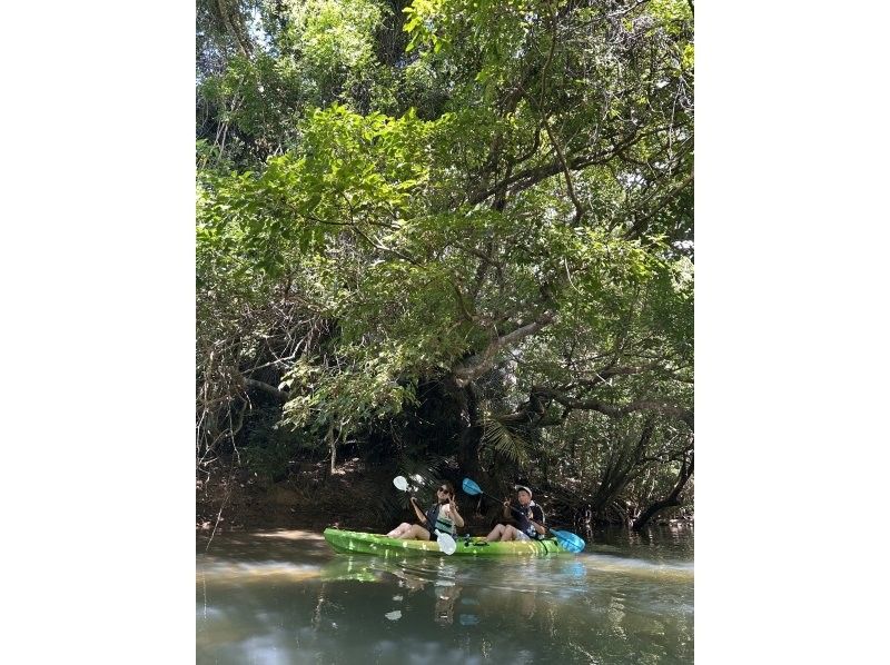 【石垣島】＜大好評！！＞まるで海賊！？?&zwj;☠️ カヤックの上から弓を放つ、超レア体験！ 子供も大人も夢中になる、ドキドキの冒険へ出発！の紹介画像