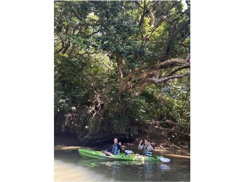 【沖縄・石垣島】 カヤックとトレッキングでゆく熱帯ジャングル大冒険の紹介画像