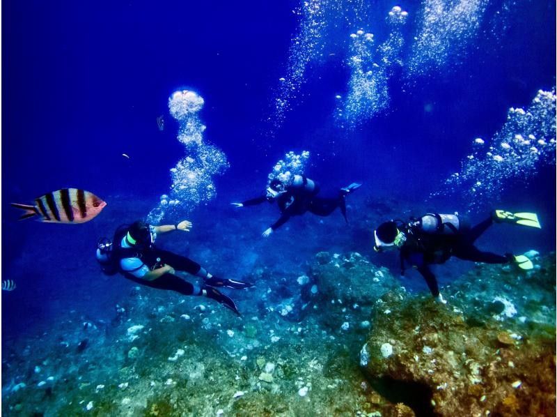Beginners • Same-day reservations OK⭐️ [Single person only • Blue Cave Diving] ❤ Towels, sandals, feeding, free ultra-high-resolution GoPro photos and videos‼️ Data immediately transferred to your smartphone❤️の紹介画像