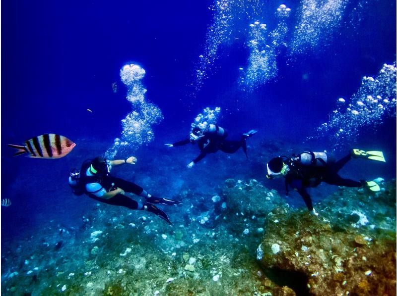[Okinawa Blue Cave] Private snorkeling tour ★ Photos and videos will be given as gifts on the spot ♪ Private guide tour ♫ Solo, girls, couples, men's trip, snorkelers, beginners ★の紹介画像
