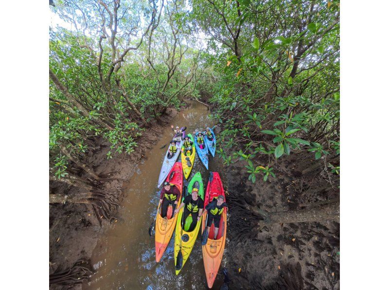 [Amami] "Mangrove Kayaking & Hikage Hego Forest Walking Tour" from a secret base. An exciting and relaxing plan for small groups - beginners welcome!の紹介画像