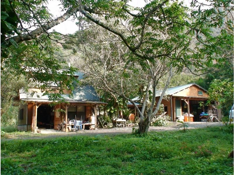[Amami] "Mangrove Kayaking & Hikage Hego Forest Walking Tour" from a secret base. An exciting and relaxing plan for small groups - beginners welcome!の紹介画像