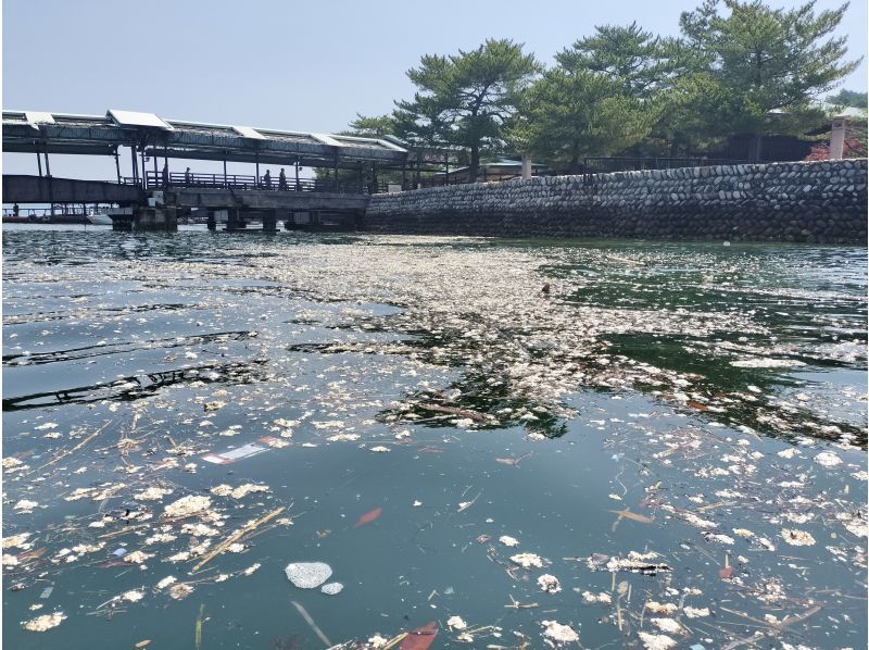 【広島・宮島】海ゴミを考えるエコツアー（ゴミ拾い&アップサイクル製品づくり体験）の紹介画像