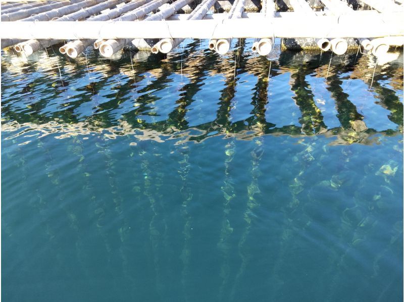 【広島・宮島】海ゴミを考えるエコツアー（ゴミ拾い&アップサイクル製品づくり体験）の紹介画像