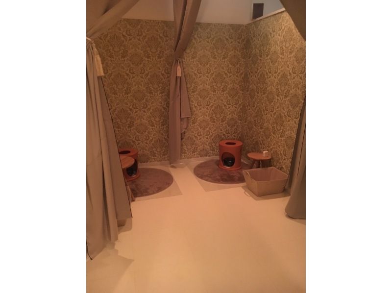 【冲绳北谷】秋季特惠❤️ 自选海滩活动 & 艾草蒸浴♨️ 暖身♨️ 当日体验⭕️ 蓬松肌肤♨️ 仅限女性 仅限情侣❤️ 免费毛巾和凉鞋の紹介画像