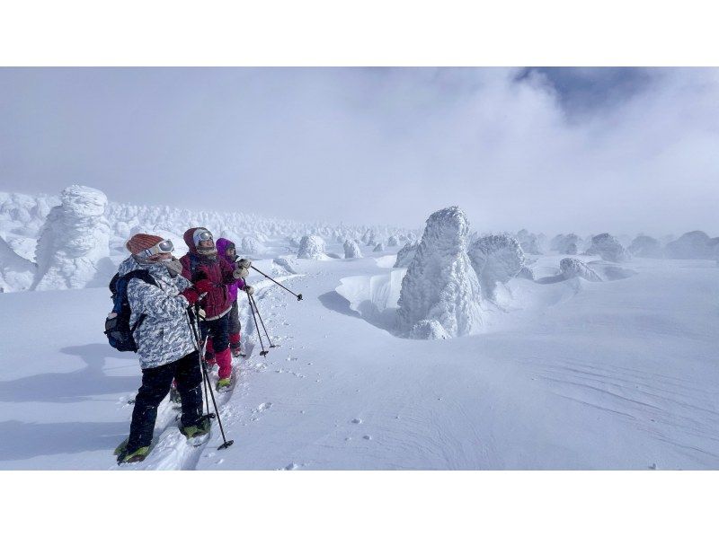 【山形・蔵王】樹氷スノーハイキング 蔵王の大自然がつくる、冬だけの神秘。ガイドと一緒に白銀の世界へ！写真プレゼント付きの紹介画像