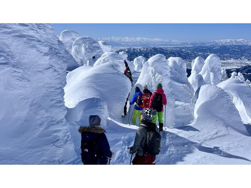 【山形・蔵王】樹氷スノーハイキング 蔵王の大自然がつくる、冬だけの神秘。ガイドと一緒に白銀の世界へ！写真プレゼント付きの紹介画像