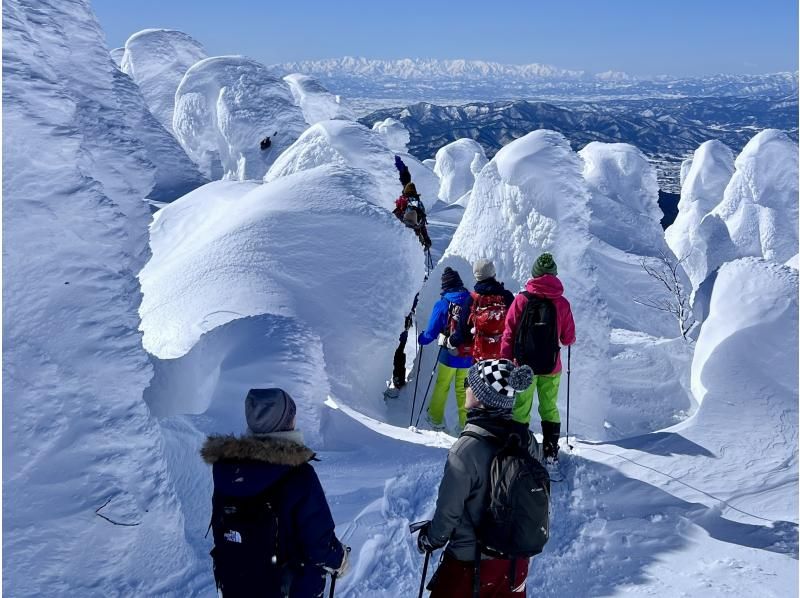 【山形・蔵王】樹氷スノーハイキング 蔵王の大自然がつくる、冬だけの神秘。ガイドと一緒に白銀の世界へ！写真プレゼント付きの紹介画像