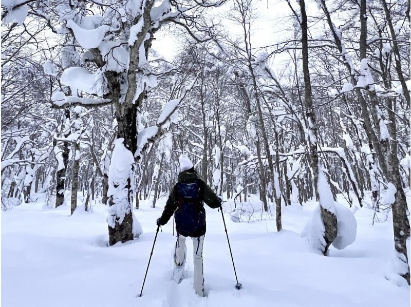 【山形・蔵王】樹氷スノーハイキング 蔵王の大自然がつくる、冬だけの神秘。ガイドと一緒に白銀の世界へ！写真プレゼント付きの紹介画像