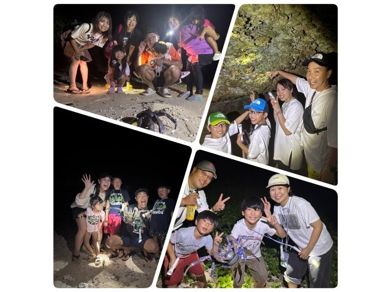 [Ishigaki Island / Private tour for one group] Coconut crab and starry sky night tour [Participants from 1 year old are welcome] Experience endangered species and photograph the Milky Way ☆ Coconut crab encounter rate remains 100%!の紹介画像