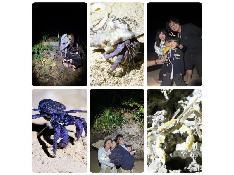 【石垣島 / 私人團體遊】椰子蟹星空夜遊【歡迎1歲以上兒童參加】體驗瀕危物種，拍攝銀河☆椰子蟹偶遇率100%！の紹介画像
