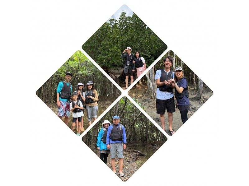 [Ishigaki Island / Private Rental for 1 Group] Great Value Set Plan ☆ Fukidori River Sunset & Coconut Crab Starry Night Tour ☆ [Participants from 1 year old] Especially recommended for families with children! Beginners 9の紹介画像