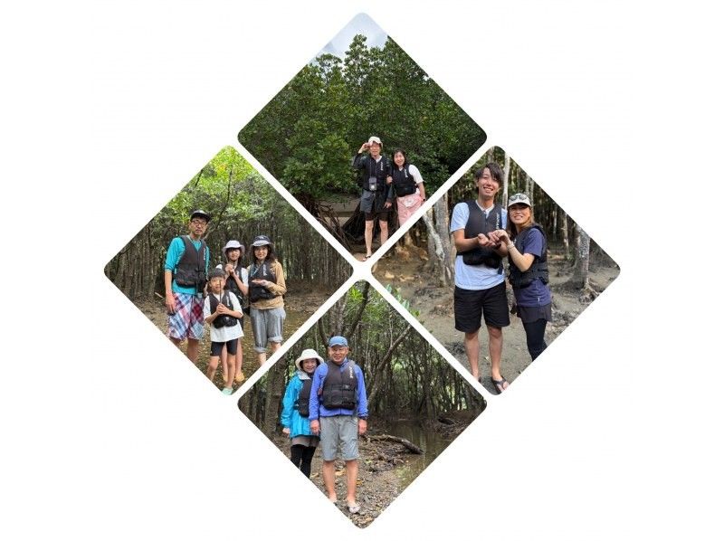 [Ishigaki Island / Private Rental for 1 Group] Great Value Set Plan ☆ Fukidori River Sunset & Coconut Crab Starry Night Tour ☆ [Participants from 1 year old] Especially recommended for families with children! Beginners 9の紹介画像