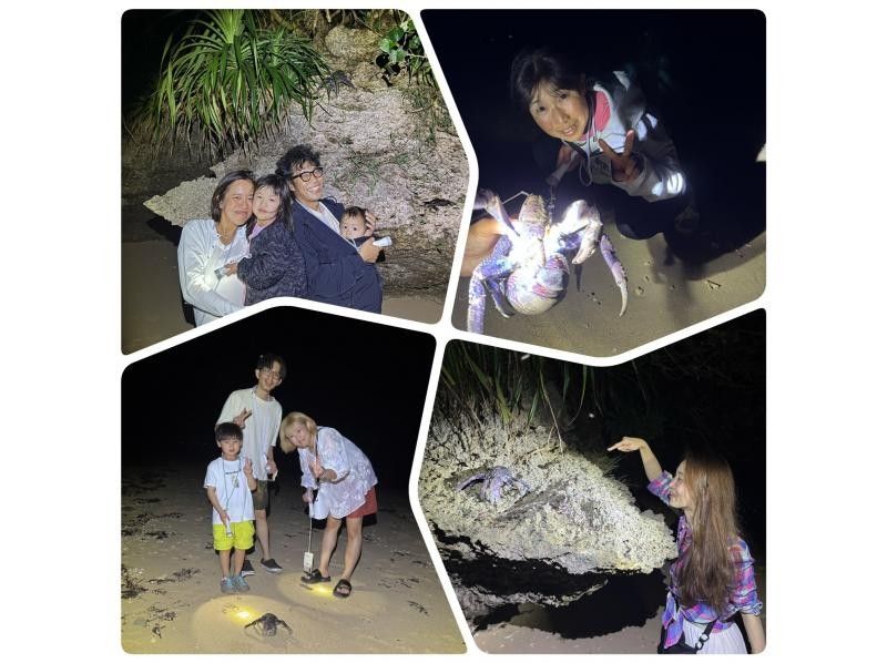 [Ishigaki Island / Private Rental for 1 Group] Great Value Set Plan ☆ Fukidori River Sunset & Coconut Crab Starry Night Tour ☆ [Participants from 1 year old] Especially recommended for families with children! Beginners 9の紹介画像