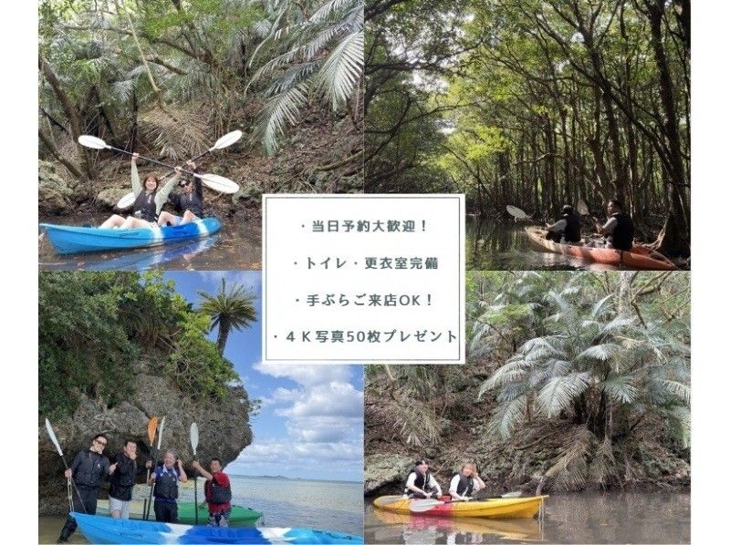 【石垣島/1組貸切】☆吹通川マングローブツアー☆【1歳～参加OK】お子様連れには特にオススメ！初心者95％以上！４ｋ高画質写真50枚保障♪の紹介画像