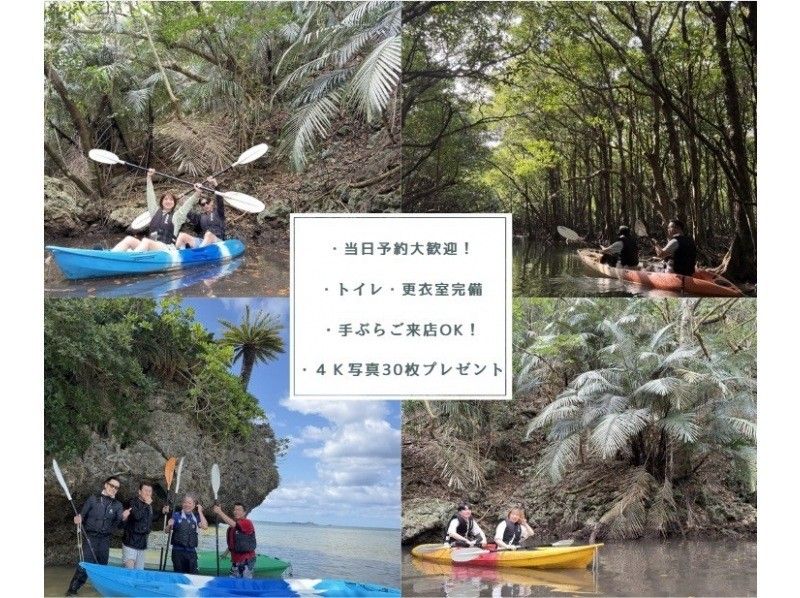 【石垣島/1組貸切】☆吹通川マングローブツアー☆【1歳～参加OK】貸し切りプライベート体験！初心者95％以上！４ｋ高画質写真30枚保障♪の紹介画像
