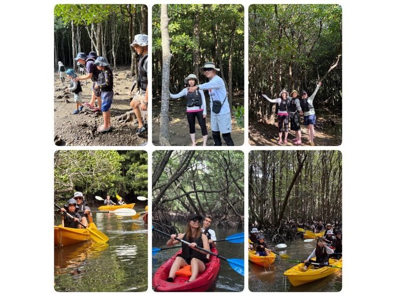 【石垣島 / 1人私人團】☆吹通紅樹林之旅☆【歡迎1歲以上兒童參加】特別推薦給有小孩的家庭！超過95%的遊客都是初學者！の紹介画像