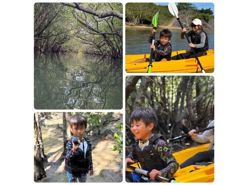 【石垣島 / 1人私人團】☆吹通紅樹林之旅☆【歡迎1歲以上兒童參加】特別推薦給有小孩的家庭！超過95%的遊客都是初學者！の紹介画像