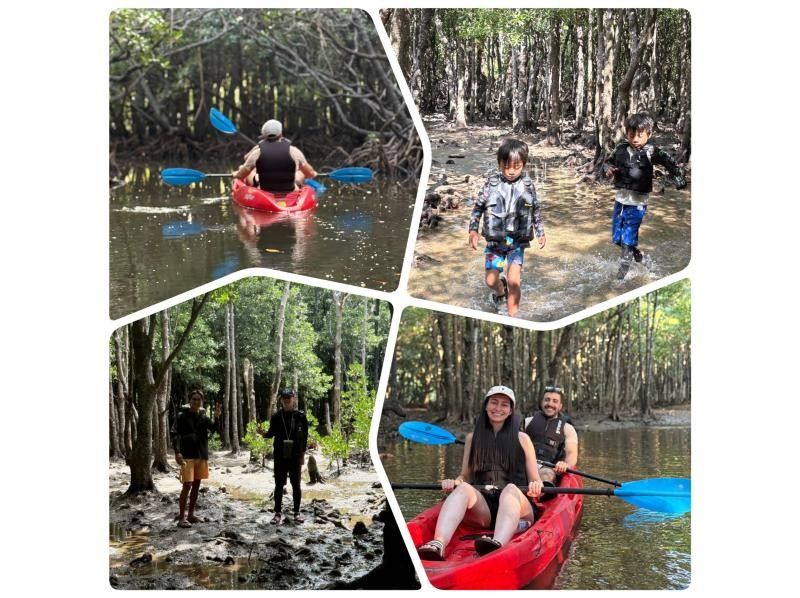 【石垣島/1組貸切】☆吹通川マングローブツアー☆【1歳～参加OK】お子様連れには特にオススメ！初心者95％以上！の紹介画像