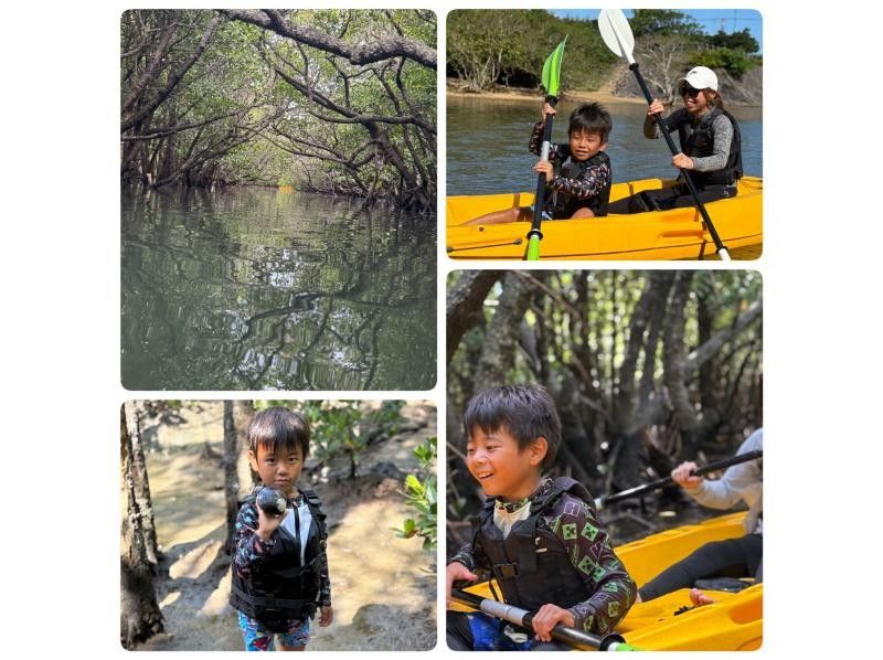 【石垣島 / 1人私人團】☆吹通紅樹林之旅☆【歡迎1歲以上兒童參加】特別推薦給有小孩的家庭！超過95%的遊客都是初學者！の紹介画像
