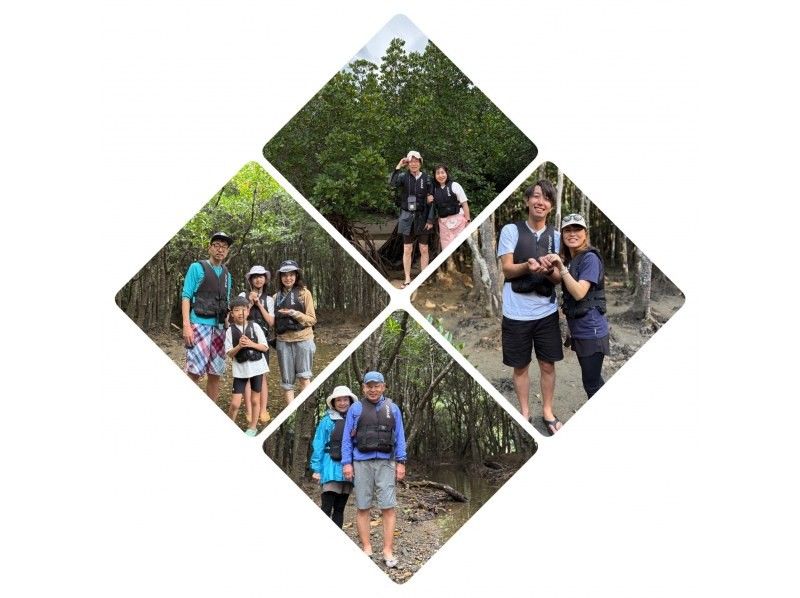 【石垣島 / 1人私人團】☆吹通紅樹林之旅☆【歡迎1歲以上兒童參加】特別推薦給有小孩的家庭！超過95%的遊客都是初學者！の紹介画像