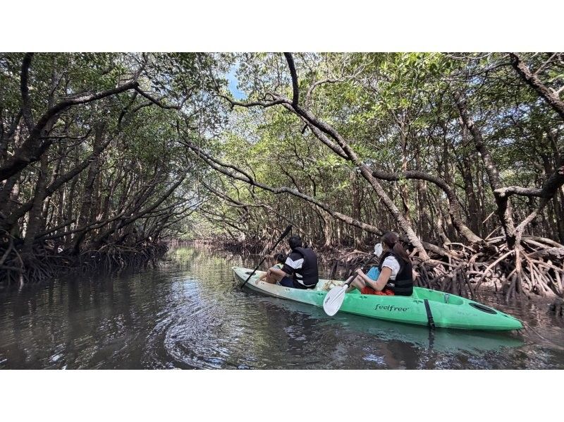 【石垣島/1組貸切】☆吹通川マングローブツアー☆【1歳～参加OK】お子様連れには特にオススメ！初心者95％以上！４ｋ高画質写真50枚保障♪の紹介画像