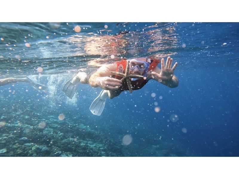 [Northern Okinawa - Motobu - Sesoko Island - Minna Island - Remote Island Snorkeling] The clearest waters in the prefecture! A small-group tour perfect for beginners and those who can't swim!の紹介画像