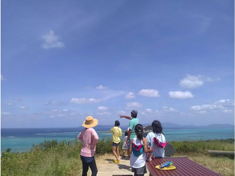 【沖縄・小浜島】マングローブの林へ！小浜島自然探検ツアー（干潮時間帯のみ開催）の紹介画像