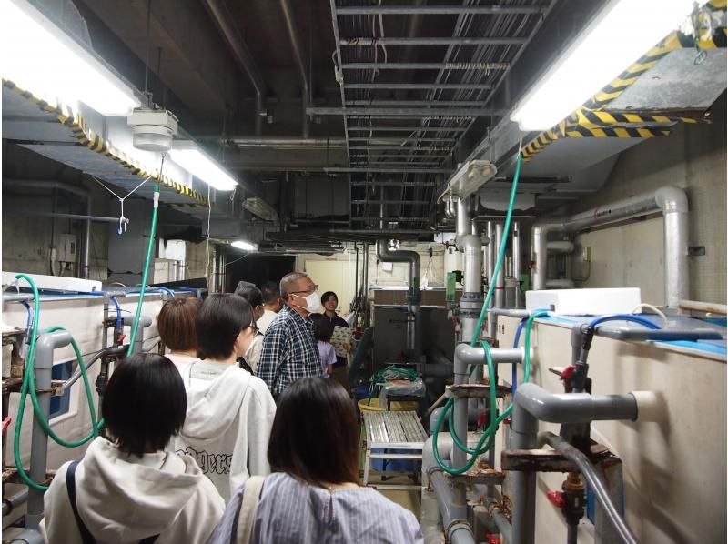 【秋田・男鹿】GAOの裏側を飼育スタッフがご案内！男鹿水族館GAO　裏側見学付プランの紹介画像