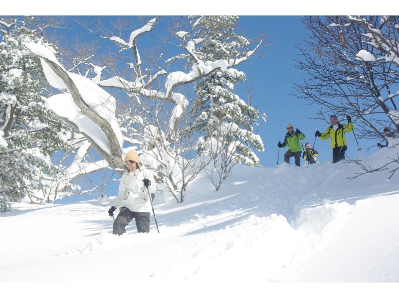 [Akita, Hachimantai] Goshogake Mud Volcano & Oyunuma Snowshoe Tour - Amazing Views, Walking Through the Fumarole Zone in Midwinter -の紹介画像