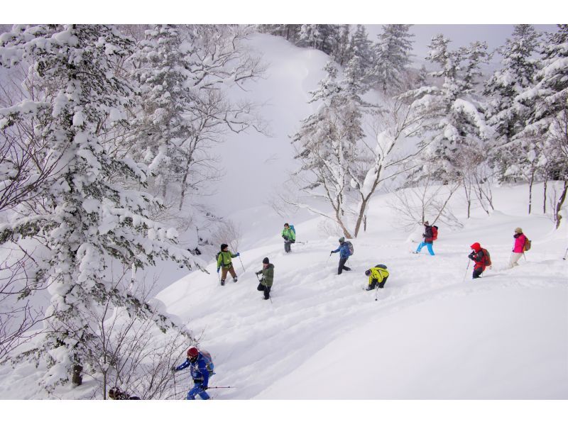 [Akita, Hachimantai] Goshogake Mud Volcano & Oyunuma Snowshoe Tour - Amazing Views, Walking Through the Fumarole Zone in Midwinter -の紹介画像