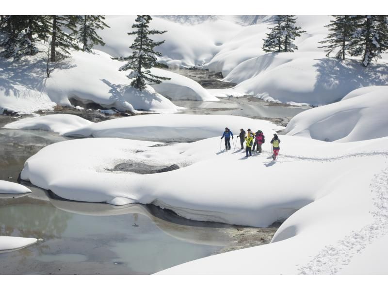 [Akita, Hachimantai] Goshogake Mud Volcano & Oyunuma Snowshoe Tour - Amazing Views, Walking Through the Fumarole Zone in Midwinter -の紹介画像