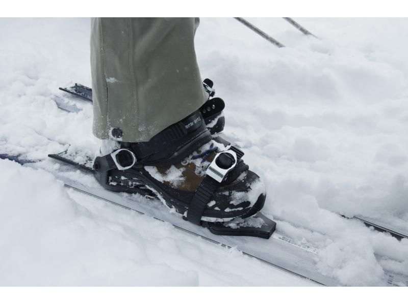 [Akita, Hachimantai] Yamagemori BUNAMORI Ski Hike Tour ~Explore the powder snow beech forest~の紹介画像