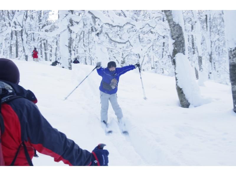 [Akita, Hachimantai] Yamagemori BUNAMORI Ski Hike Tour ~Explore the powder snow beech forest~の紹介画像