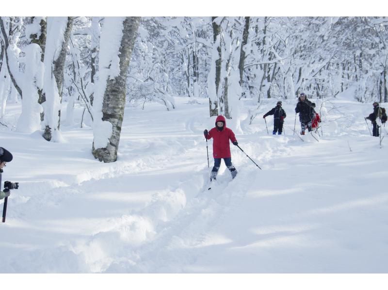 [Akita, Hachimantai] Yamagemori BUNAMORI Ski Hike Tour ~Explore the powder snow beech forest~の紹介画像