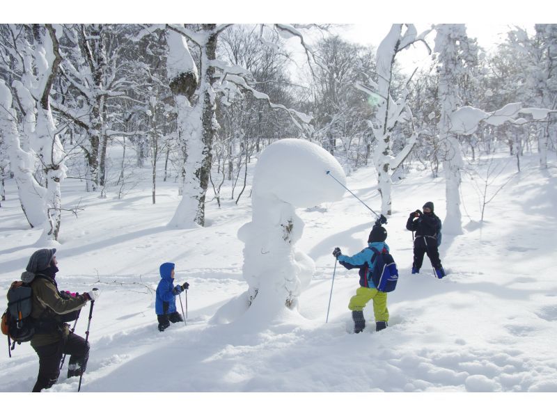 [Akita, Hachimantai] Yamagemori BUNAMORI Ski Hike Tour ~Explore the powder snow beech forest~の紹介画像