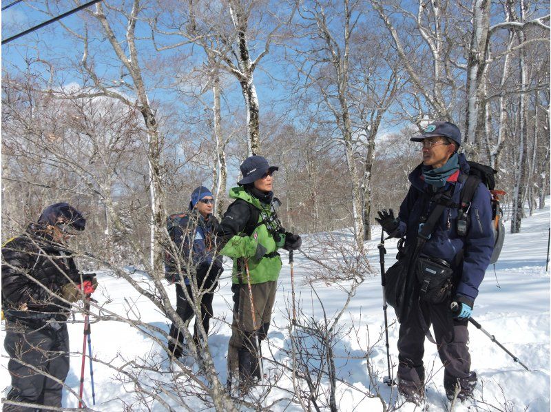 [Akita, Hachimantai] A tour to search for traces of Asiatic black bears in the winter forestの紹介画像