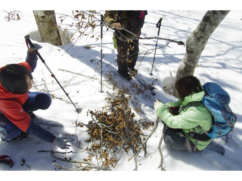 [Akita, Hachimantai] A tour to search for traces of Asiatic black bears in the winter forestの紹介画像