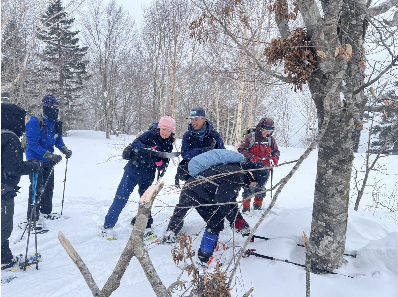 [Akita, Hachimantai] A tour to search for traces of Asiatic black bears in the winter forestの紹介画像