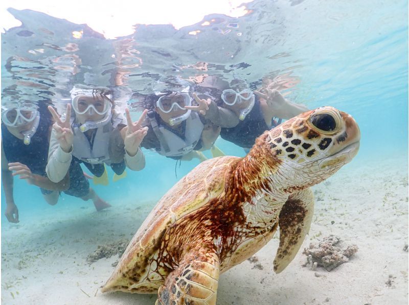 宮古島【春休み・GW先取り】★当日予約OK！写真無料！手ぶらで参加！《学生・ファミリー大歓迎》ウミガメシュノーケルの紹介画像