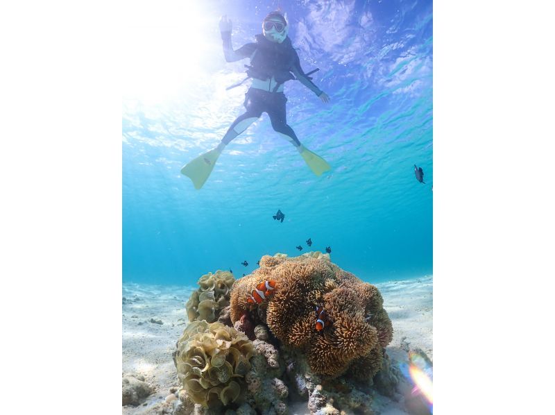 【宮古島・ファミリー大歓声】《☆子ども安心の丁寧サポート♪》雨でも冬でもウミガメと泳げる！シュノーケリング【☆当日予約OK】の紹介画像