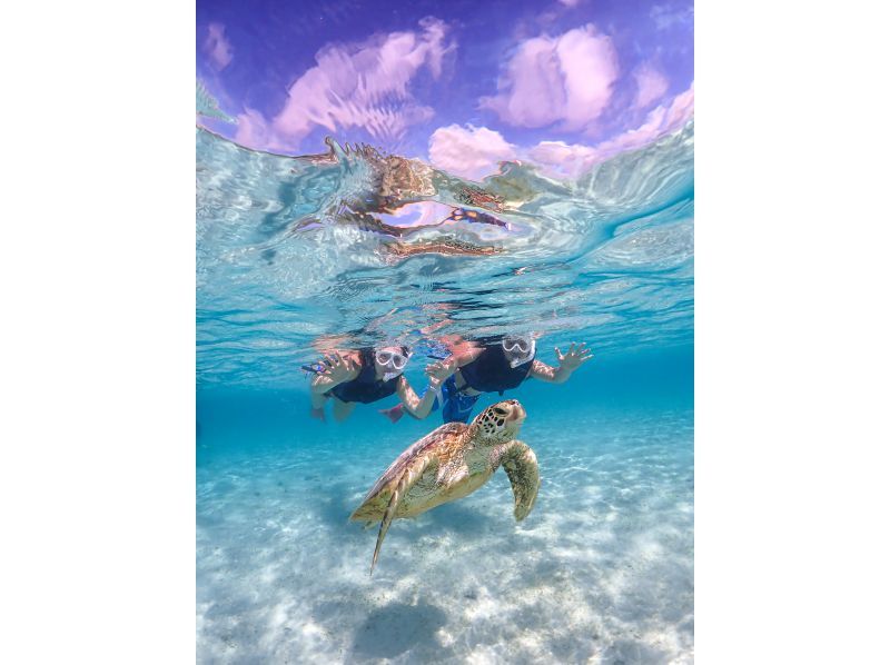 宮古島【春休み・GW先取り】★当日予約OK！写真無料！手ぶらで参加！《学生・ファミリー大歓迎》ウミガメシュノーケルの紹介画像