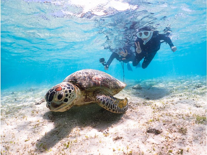 宮古島【春休み・GW先取り】★当日予約OK！写真無料！手ぶらで参加！《学生・ファミリー大歓迎》ウミガメシュノーケルの紹介画像