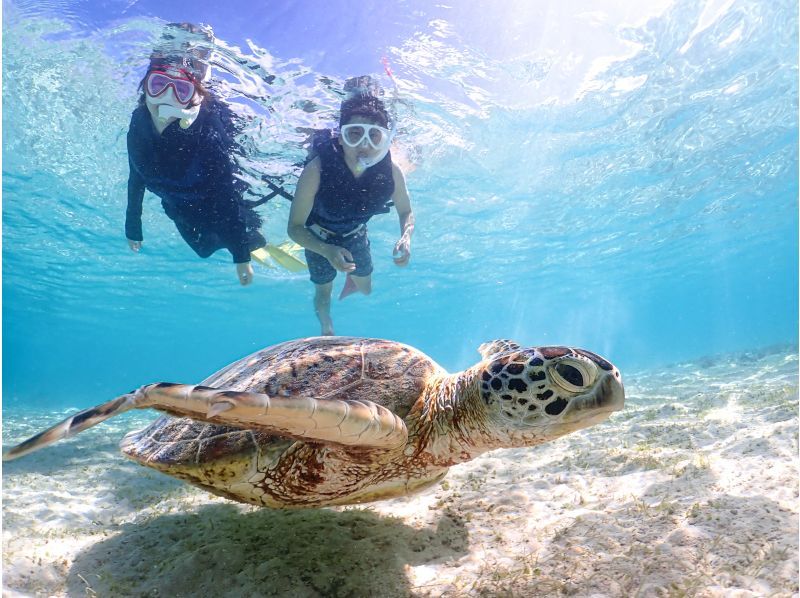 宮古島【春休み・GW先取り】★当日予約OK！写真無料！手ぶらで参加！《学生・ファミリー大歓迎》ウミガメシュノーケルの紹介画像