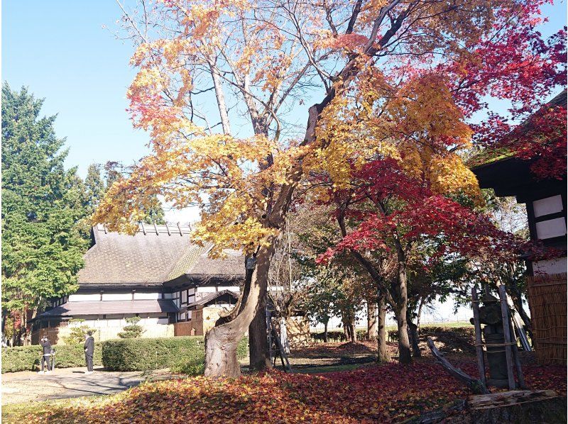 【秋田県・横手市】茅葺屋根の古民家で味わう田舎ランチの紹介画像