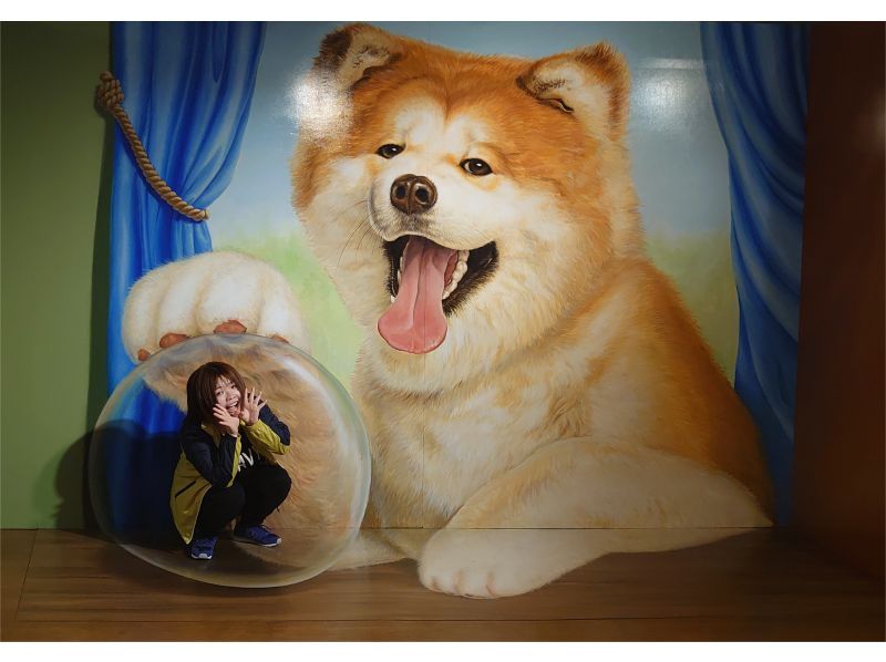 【秋田・横手】VRアトラクション体験+ワンダーキャッスル入場券セットの紹介画像