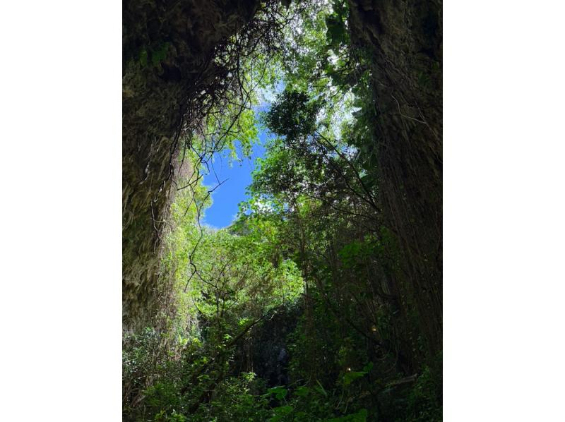 【오키나와 미야코지마】미야코, 조용한 안쪽으로! 땅의 고동을 느끼고 마음이 뛰는 땅의 대모험의 시작! 전속 가이드가, 당신의 페이스로 안내하는 땅의 미야코 어드벤처.の紹介画像