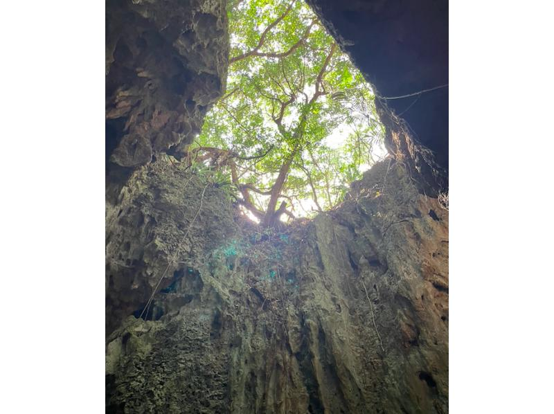 【오키나와 미야코지마】미야코, 조용한 안쪽으로! 땅의 고동을 느끼고 마음이 뛰는 땅의 대모험의 시작! 전속 가이드가, 당신의 페이스로 안내하는 땅의 미야코 어드벤처.の紹介画像